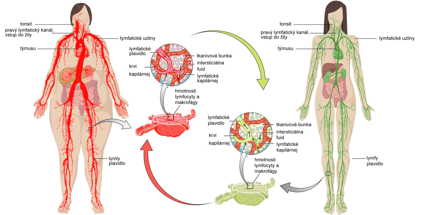 ✨🩵2024 Legújabb 𝐑𝐢𝐧𝐡𝐫𝐧𝐧™ Ultrahangos Detox zsírégető-Energy Balance karkötő⏱️ (70% kedvezmény az elmúlt napokban + orvos ajánlása)