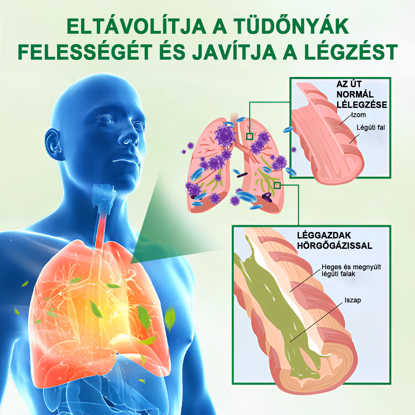 đăđKĂ©szĂŒlt Ă©s szĂĄllĂtott az EgyesĂŒlt KirĂĄlysĂĄgbanâ
ăđšââïžđđđđđđÂź Lung JavĂtĂł Ă©s ĂĄpolĂł inhalĂĄtorok (đTĂŒdĆszakĂ©rtĆ ajĂĄnlottđ)