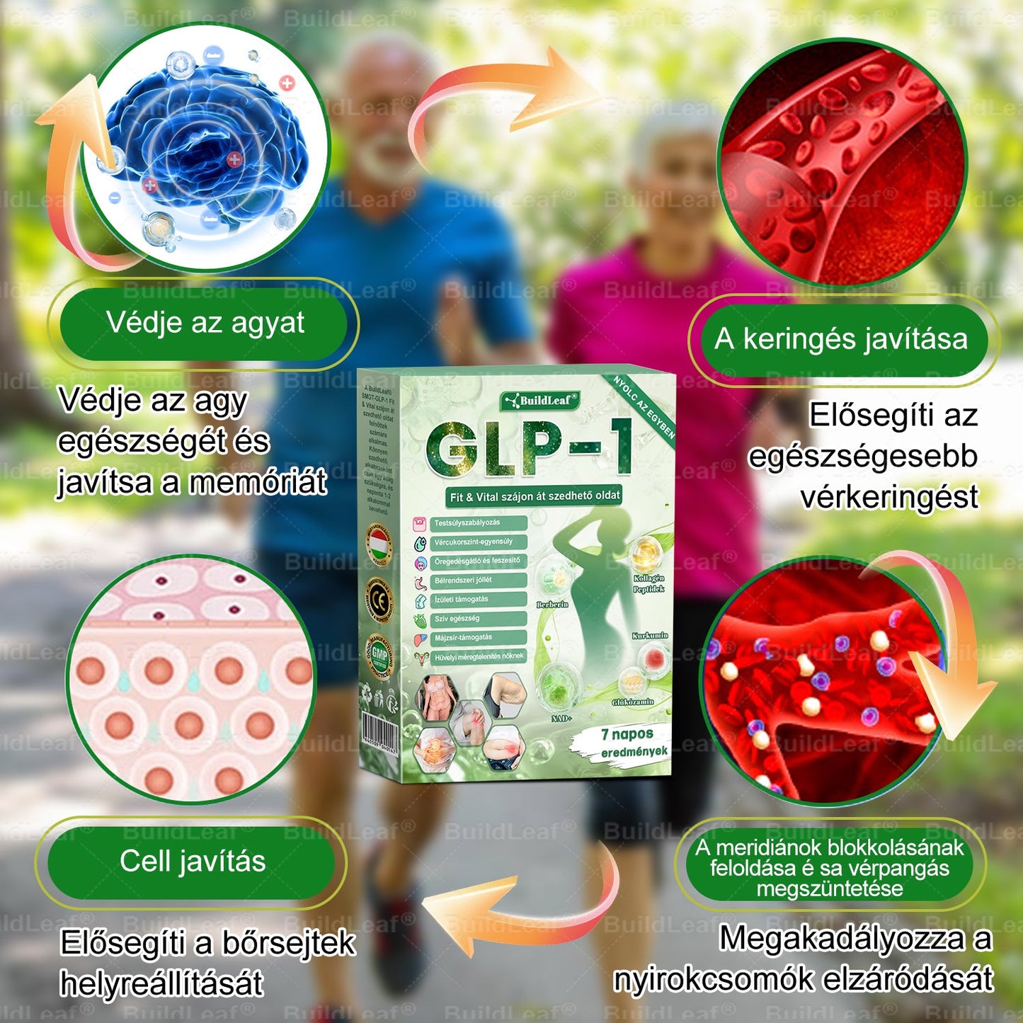 BuildLeaf®🥇 GLP-1 8-az-1-ben Fit &amp; Vital Orális Oldat (Csak napi egyszer, látható változások 7 nap alatt)  Elhízásra, szív- és érrendszeri egészségre, cukorbetegségre, alvási apnoéra, emésztőrendszeri egészségre, ízületi problémákra és még sok másra
